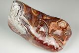 Polished Crazy Lace Agate - Mexico #193183-1